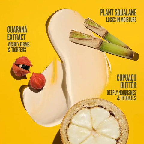 Brazilian Obsession Collection | Online Exclusive